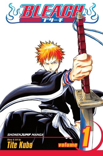 Bleach cover